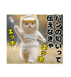 エッホエッホ ねこは〇〇しなきゃ！（個別スタンプ：1）