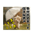 エッホエッホ ねこは〇〇しなきゃ！（個別スタンプ：4）