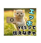 エッホエッホ ねこは〇〇しなきゃ！（個別スタンプ：9）