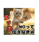 エッホエッホ ねこは〇〇しなきゃ！（個別スタンプ：10）