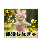 エッホエッホ ねこは〇〇しなきゃ！（個別スタンプ：13）