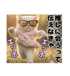 エッホエッホ ねこは〇〇しなきゃ！（個別スタンプ：14）