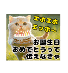 エッホエッホ ねこは〇〇しなきゃ！（個別スタンプ：17）