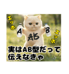 エッホエッホ ねこは〇〇しなきゃ！（個別スタンプ：24）