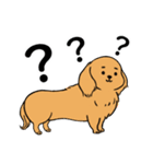ぽっちゃりダックス（多頭飼い）（個別スタンプ：7）