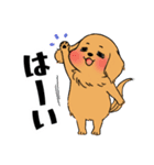 ぽっちゃりダックス（多頭飼い）（個別スタンプ：18）