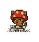 きにゃんこ(きのこ+にゃんこ)日常スタンプ（個別スタンプ：2）