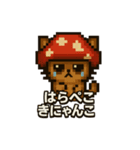 きにゃんこ(きのこ+にゃんこ)日常スタンプ（個別スタンプ：8）