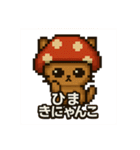 きにゃんこ(きのこ+にゃんこ)日常スタンプ（個別スタンプ：9）