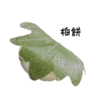 大阪の食いモンでっせ（個別スタンプ：35）
