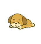 ぽてワン！感情ダダもれ犬（個別スタンプ：39）