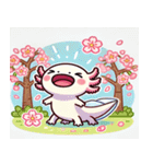 ウーパールーパーと桜のスタンプ@SFW（個別スタンプ：2）
