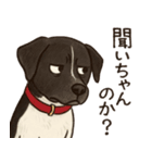 和歌山弁の犬（石松）その3（個別スタンプ：2）