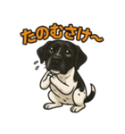 和歌山弁の犬（石松）その3（個別スタンプ：3）