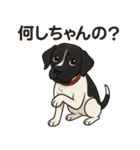 和歌山弁の犬（石松）その3（個別スタンプ：4）