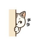 猫シロのまいにちスタンプ（個別スタンプ：1）