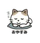 猫シロのまいにちスタンプ（個別スタンプ：2）