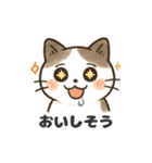 猫シロのまいにちスタンプ（個別スタンプ：4）