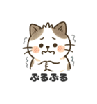 猫シロのまいにちスタンプ（個別スタンプ：5）