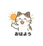 猫シロのまいにちスタンプ（個別スタンプ：6）