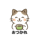 猫シロのまいにちスタンプ（個別スタンプ：7）