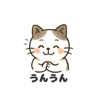 猫シロのまいにちスタンプ（個別スタンプ：8）