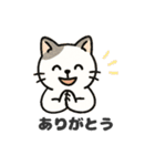 猫シロのまいにちスタンプ（個別スタンプ：9）