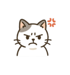 猫シロのまいにちスタンプ（個別スタンプ：10）