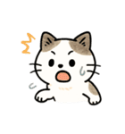 猫シロのまいにちスタンプ（個別スタンプ：11）