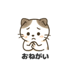 猫シロのまいにちスタンプ（個別スタンプ：13）