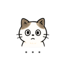 猫シロのまいにちスタンプ（個別スタンプ：14）