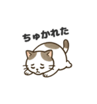 猫シロのまいにちスタンプ（個別スタンプ：16）