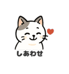 猫シロのまいにちスタンプ（個別スタンプ：17）