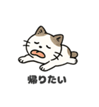 猫シロのまいにちスタンプ（個別スタンプ：18）