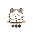 猫シロのまいにちスタンプ（個別スタンプ：20）