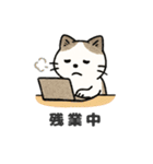 猫シロのまいにちスタンプ（個別スタンプ：22）