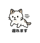 猫シロのまいにちスタンプ（個別スタンプ：24）