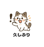 猫シロのまいにちスタンプ（個別スタンプ：25）