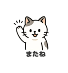 猫シロのまいにちスタンプ（個別スタンプ：31）