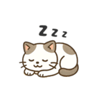 猫シロのまいにちスタンプ（個別スタンプ：32）