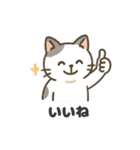 猫シロのまいにちスタンプ（個別スタンプ：33）