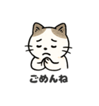 猫シロのまいにちスタンプ（個別スタンプ：34）
