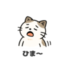 猫シロのまいにちスタンプ（個別スタンプ：35）