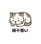 猫シロのまいにちスタンプ（個別スタンプ：36）