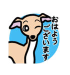 【フォーン4】1年中使えるイタグレスタンプ（個別スタンプ：1）