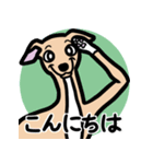 【フォーン4】1年中使えるイタグレスタンプ（個別スタンプ：2）