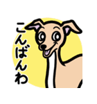【フォーン4】1年中使えるイタグレスタンプ（個別スタンプ：3）