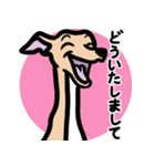 【フォーン4】1年中使えるイタグレスタンプ（個別スタンプ：6）