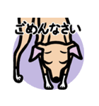 【フォーン4】1年中使えるイタグレスタンプ（個別スタンプ：7）