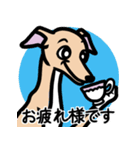 【フォーン4】1年中使えるイタグレスタンプ（個別スタンプ：8）